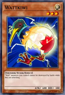 Wattkiwi (STBL-EN026)