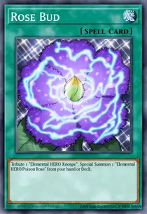 Rose Bud (PP02-EN011)