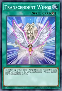 Transcendent Wings (DR04-EN045)