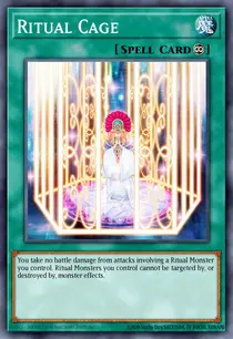 Ritual Cage (THSF-EN055)