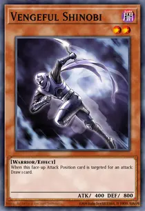 Vengeful Shinobi (PTDN-EN028)