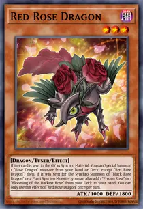 Red Rose Dragon (MP25-EN037)