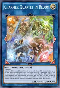 Charmer Quartet in Bloom (BLZD-EN050)