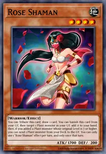 Rose Shaman (BLMR-EN040)