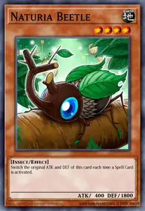 Naturia Beetle (HA02-EN001)