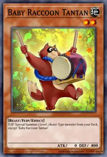 Baby Raccoon Tantan (MP14-EN137)