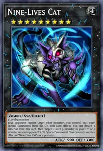 Nine-Lives Cat (IGAS-EN083)