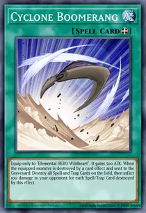 Cyclone Boomerang (DP03-EN015)
