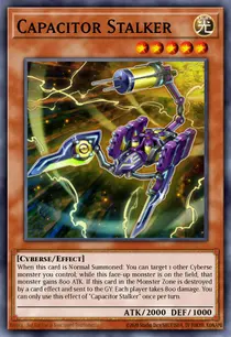 Capacitor Stalker (CIBR-EN002)