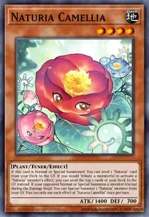 Naturia Camellia (MP23-EN171)