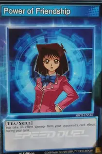 Power of Friendship (SBCB-ENS16)