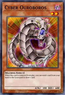 Cyber Ouroboros (PTDN-EN011)
