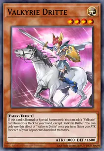 Valkyrie Dritte (SHVA-EN001)
