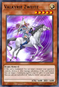 Valkyrie Zweite (SHVA-EN002)