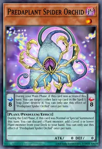 Predaplant Spider Orchid (DUPO-EN035)