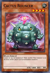 Cactus Bouncer (ABPF-EN084)