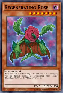 Regenerating Rose (PTDN-EN005)