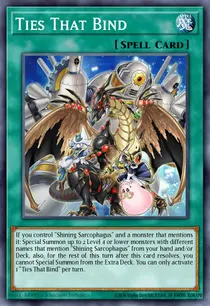 Ties That Bind (MP25-EN071)