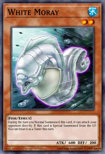 White Moray (BLC1-EN051)