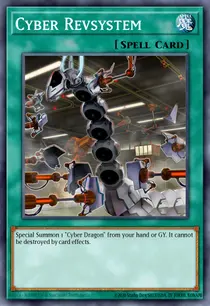 Cyber Revsystem (MP19-EN118)