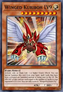 Winged Kuriboh LV9 (RYMP-EN014)