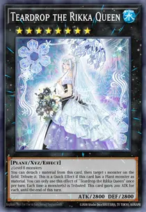 Teardrop the Rikka Queen (SESL-EN022)