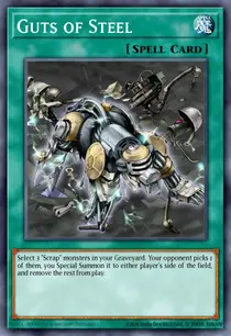 Guts of Steel (DREV-EN086)