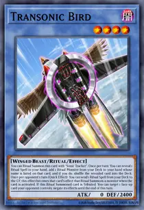 Transonic Bird (BODE-EN037)