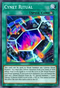 Cynet Ritual (MP19-EN113)