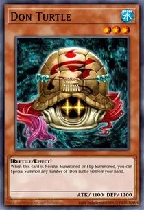 Don Turtle (DR2-EN072)