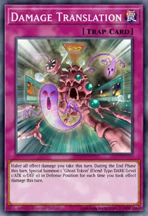 Damage Translation (ANPR-EN071)