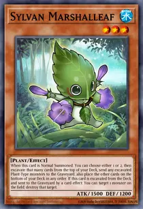 Sylvan Marshalleaf (MP14-EN198)