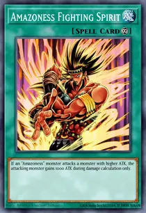 Amazoness Fighting Spirit (DREV-EN054)
