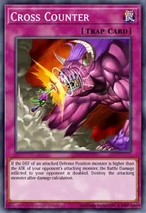 Cross Counter (DR3-EN169)