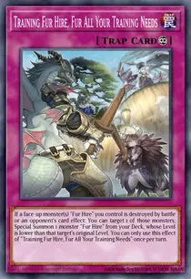 Training Fur Hire, Fur All Your Training Needs (MP19-EN256)