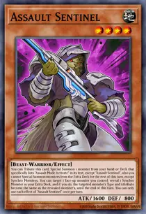 Assault Sentinel (DANE-EN011)