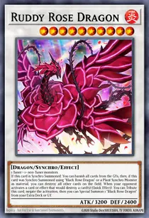 Ruddy Rose Dragon (LIOV-EN035)