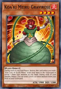 Koa'ki Meiru Gravirose (ANPR-EN083)