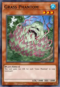 Grass Phantom (DR04-EN151)