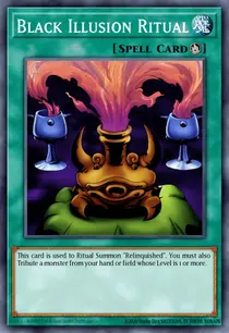 Black Illusion Ritual (MRL-051)