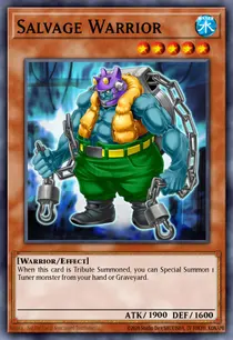 Salvage Warrior (EXVC-EN003)