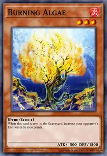 Burning Algae (DR2-EN063)