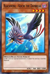 Blackwing - Kochi the Daybreak (DP11-EN010)