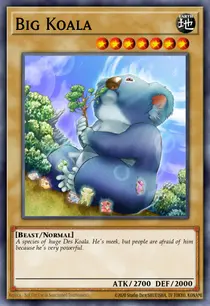 Big Koala (DR2-EN004)