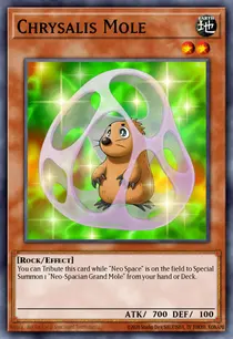 Chrysalis Mole (TAEV-EN011)