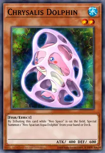 Chrysalis Dolphin (DP03-EN008)