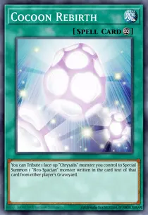Cocoon Rebirth (TAEV-EN050)