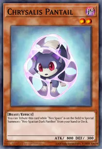 Chrysalis Pantail (TAEV-EN007)