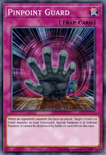 Pinpoint Guard (MP14-EN044)