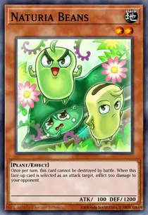 Naturia Beans (DREV-EN028)